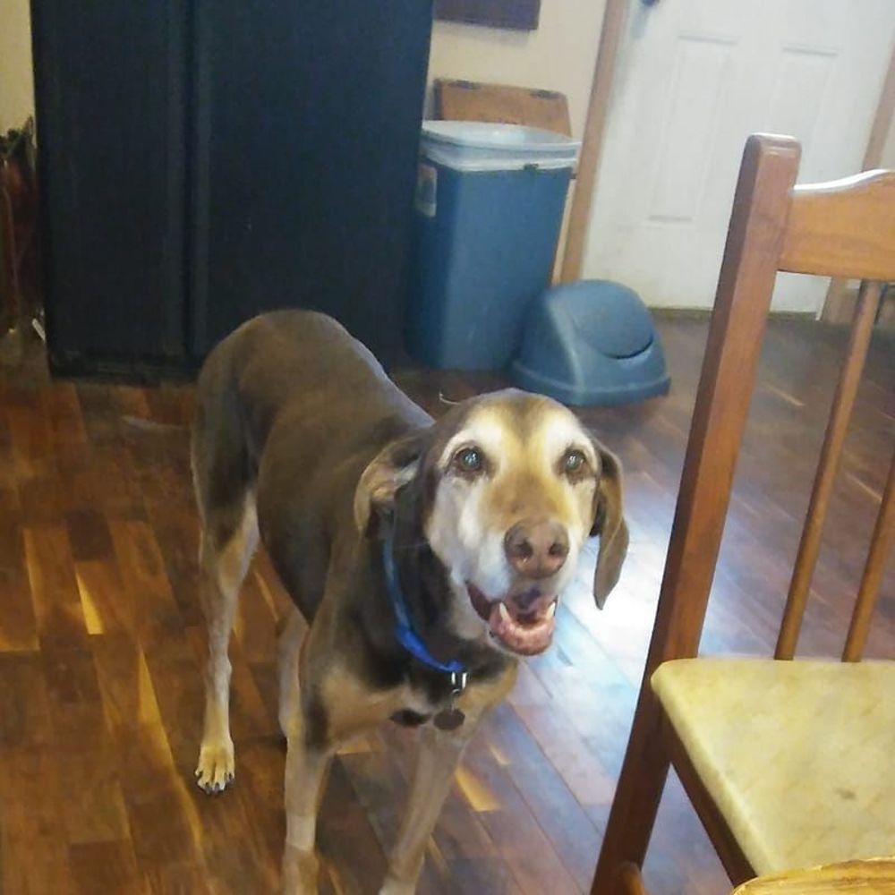 Meet your Posher, Jeremy